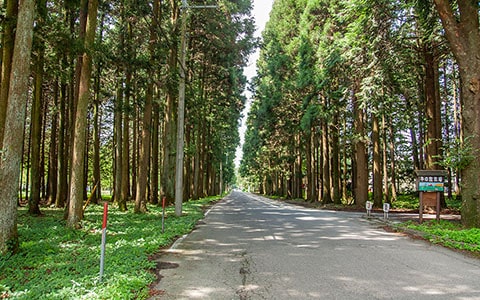 林野庁（治山林道）の地域歩掛