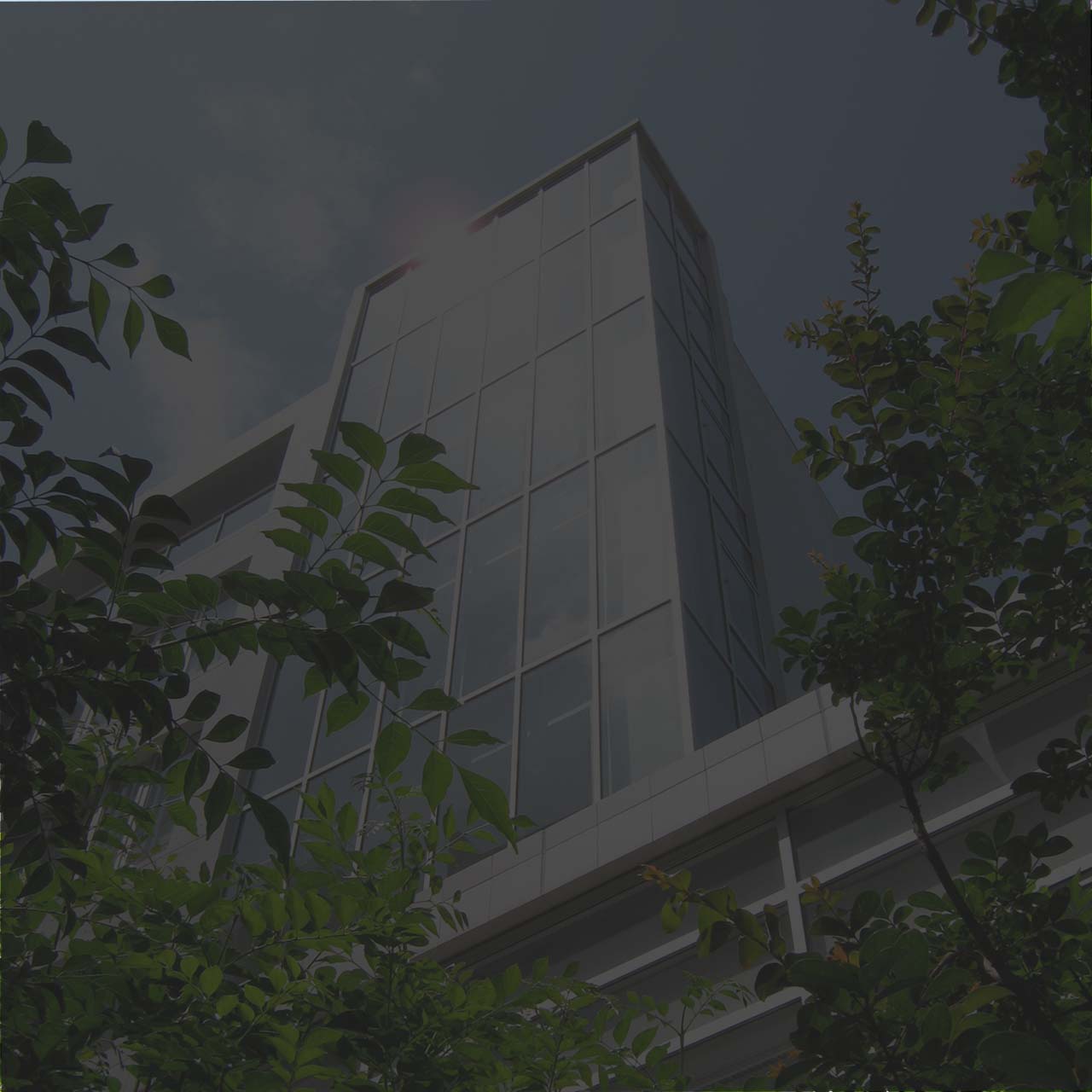 会社情報：会社概要